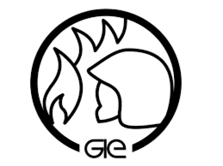 IV WORKSHOP DE INCENDIOS ESTRUCTURALES