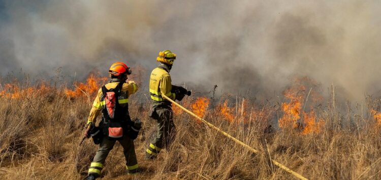 APOYO DE ASELF POR LOS INCENDIOS ORIGINADOS EN ESPAÑA