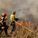 APOYO DE ASELF POR LOS INCENDIOS ORIGINADOS EN ESPAÑA