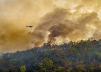 ´VII JORNADA TÉCNICA LUCHA CONTRA INCENDIOS FORESTALES´ ORGANIZADA POR TECNIFUEGO